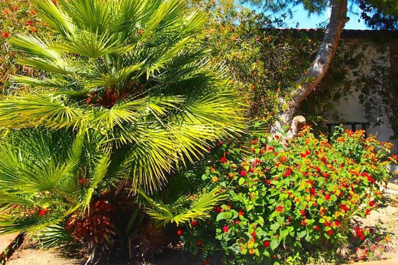 Makauda Beach Sciacca Ngoại thất bức ảnh